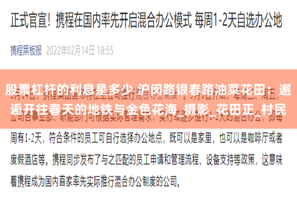 股票杠杆的利息是多少 沪闵路银春路油菜花田：邂逅开往春天的地铁与金色花海_摄影_花田正_村民