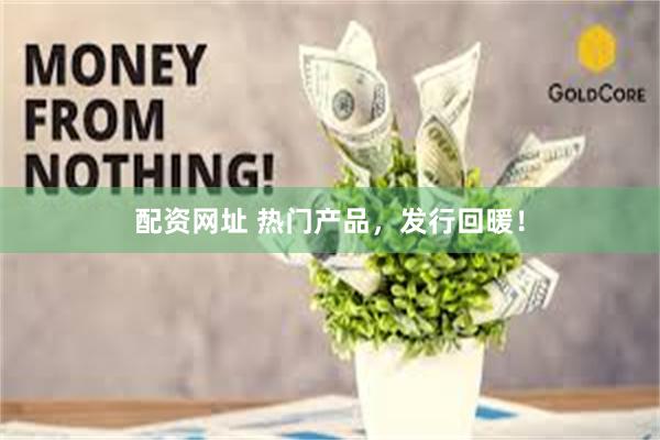 配资网址 热门产品，发行回暖！
