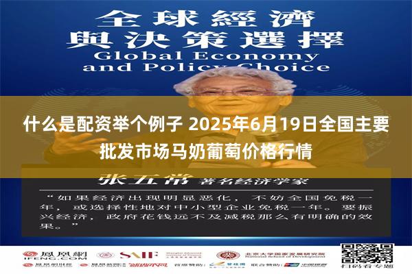 什么是配资举个例子 2025年6月19日全国主要批发市场马奶葡萄价格行情