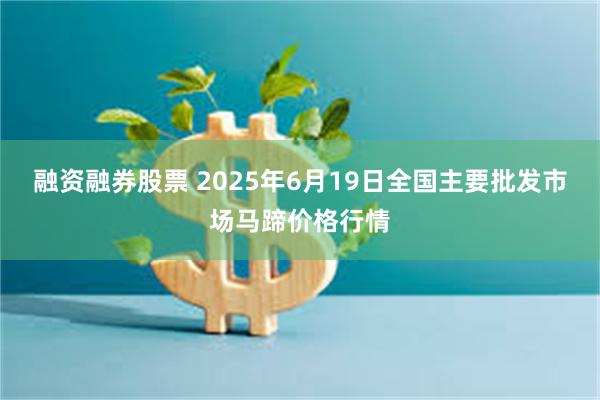 融资融券股票 2025年6月19日全国主要批发市场马蹄价格行情