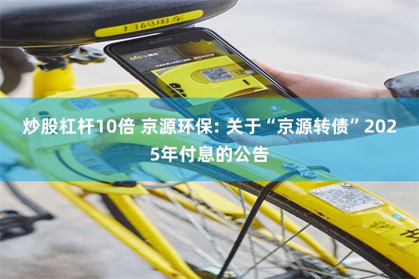 炒股杠杆10倍 京源环保: 关于“京源转债”2025年付息的公告