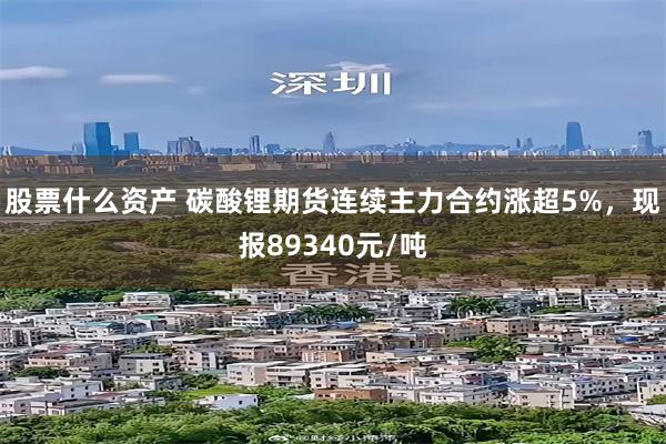 股票什么资产 碳酸锂期货连续主力合约涨超5%，现报89340元/吨