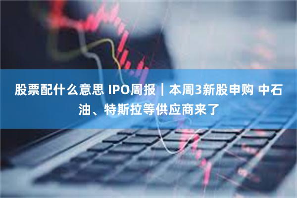 股票配什么意思 IPO周报｜本周3新股申购 中石油、特斯拉等供应商来了