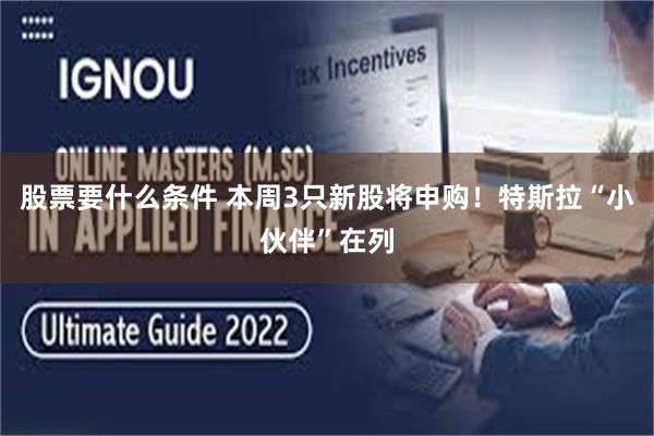股票要什么条件 本周3只新股将申购！特斯拉“小伙伴”在列