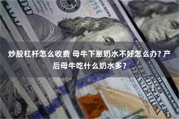 炒股杠杆怎么收费 母牛下崽奶水不好怎么办? 产后母牛吃什么奶水多？