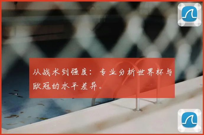 从战术到强度：专业分析世界杯与欧冠的水平差异。