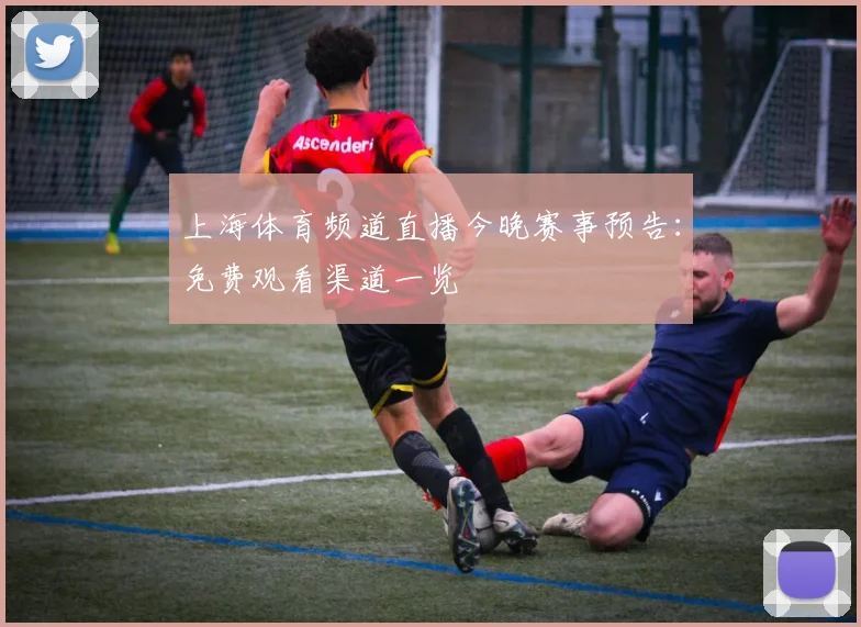 上海体育频道直播今晚赛事预告：免费观看渠道一览