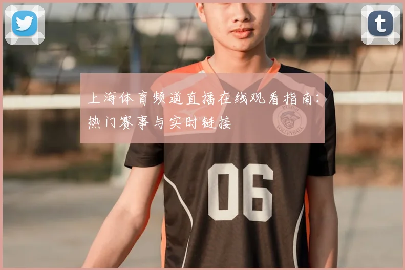 上海体育频道直播在线观看指南：热门赛事与实时链接